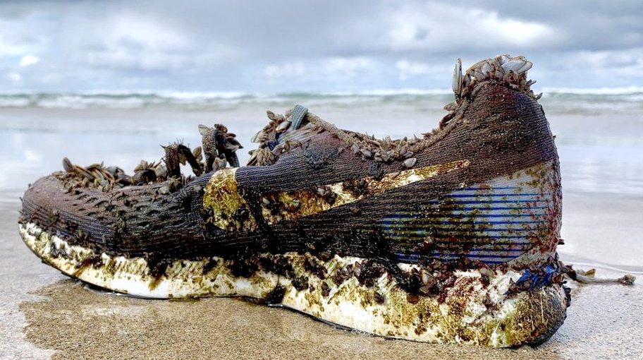Nike shoe washed up in Devon