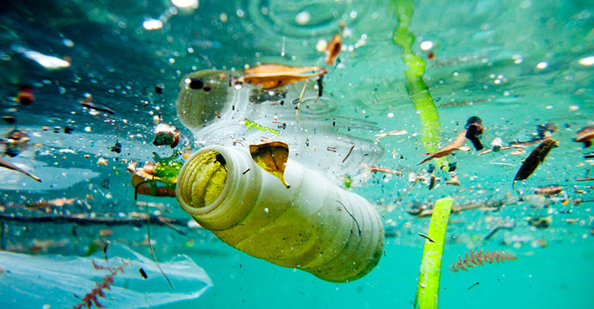 Plastic in the oceans threatens food supplies as fish shortages