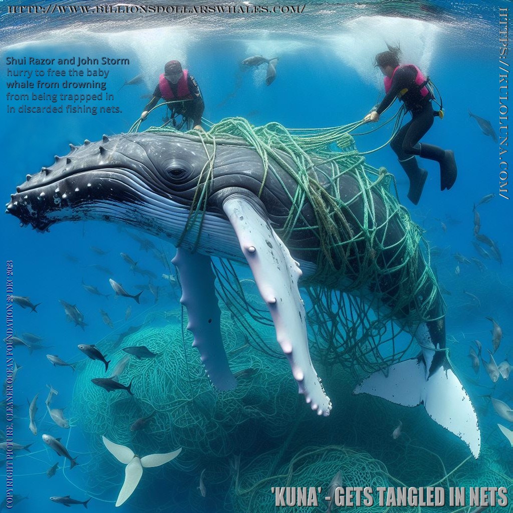 GHOSTS ALDFG ABANDONED LOST AND DISCARDED TRAWLING FISHING TRAWLERS NETS  PLASTICS ENTERS OCEAN POLLUTION ONE MILLION TONS A YEAR FISHERMEN CRIMINALS  NETTING GEAR ROPES IS KILLING WHALES MARINE MAMMALS REPTILES TURTLES SEALS