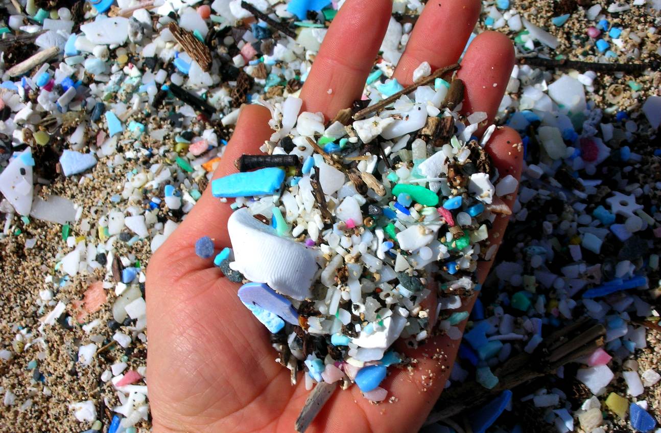 Micro and macro plastics on beaches