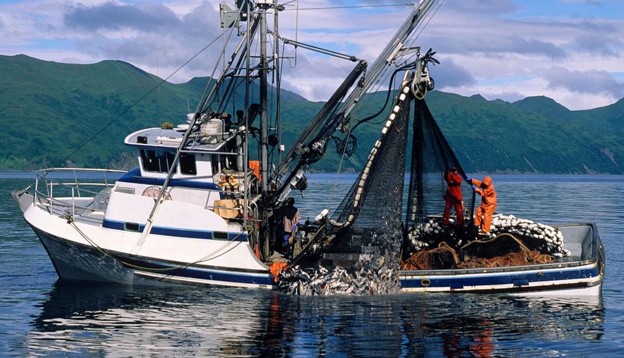 Hauling in a catch of fish on a traditional fishing boat.