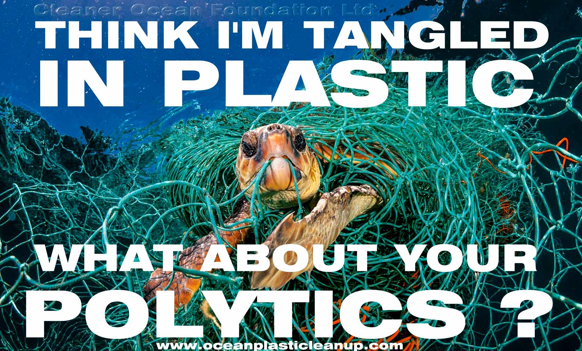 https://www.oceansplasticleanup.com/pictures_oceans_plastics/plastic-politicians-sea-turtle-fishing-nets-tangled-polytics.JPG